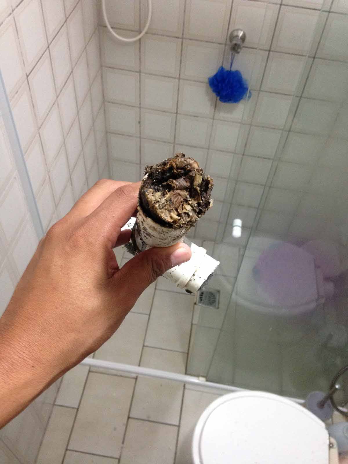 Instalações hidráulicas em Palhoça